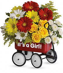Baby's Wow Wagon - Girl from Flowers by Ramon of Lawton, OK